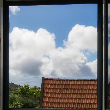 Mountain And Sea View At Costa House - Calheta Madeira Holiday home Calheta (Madeira)